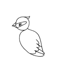 黄鹂鸟简笔画画法图解步骤教程
