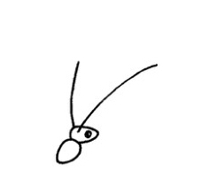 螳螂简笔画画法图解步骤教程
