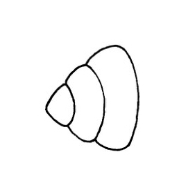 海螺简笔画画法图解步骤教程
