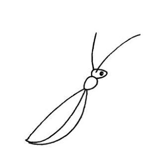螳螂简笔画画法图解步骤教程