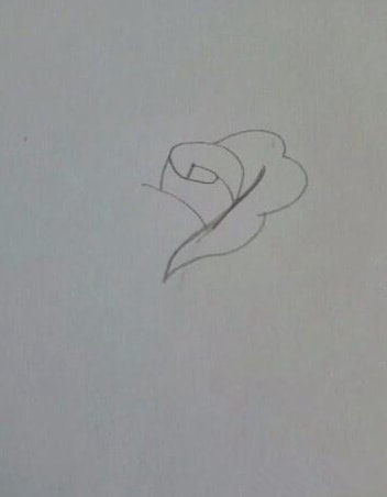漂亮的玫瑰花简笔画画法
