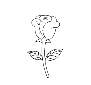 让爱永不凋谢的玫瑰花简笔画画法图解步骤教程